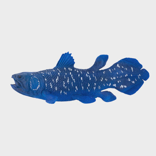 Mojo Coelacanth Toy Figure