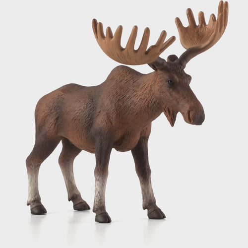Mojo European Elk/Moose #387023