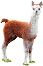 Load image into Gallery viewer, I Am Lil Llama 100pc Shaped Puzzle
