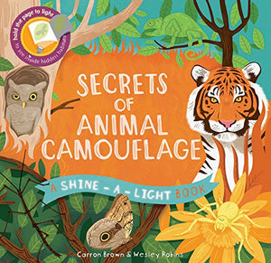 Secrets of Animal Camouflage Shine A Light Book