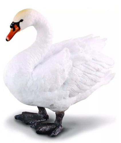 Reeves Collecta Mute Swan