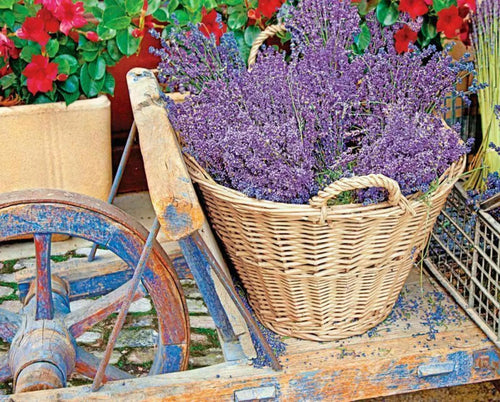 Springbok Basket of Lavender Jigsaw Puzzle, 1000-Piece