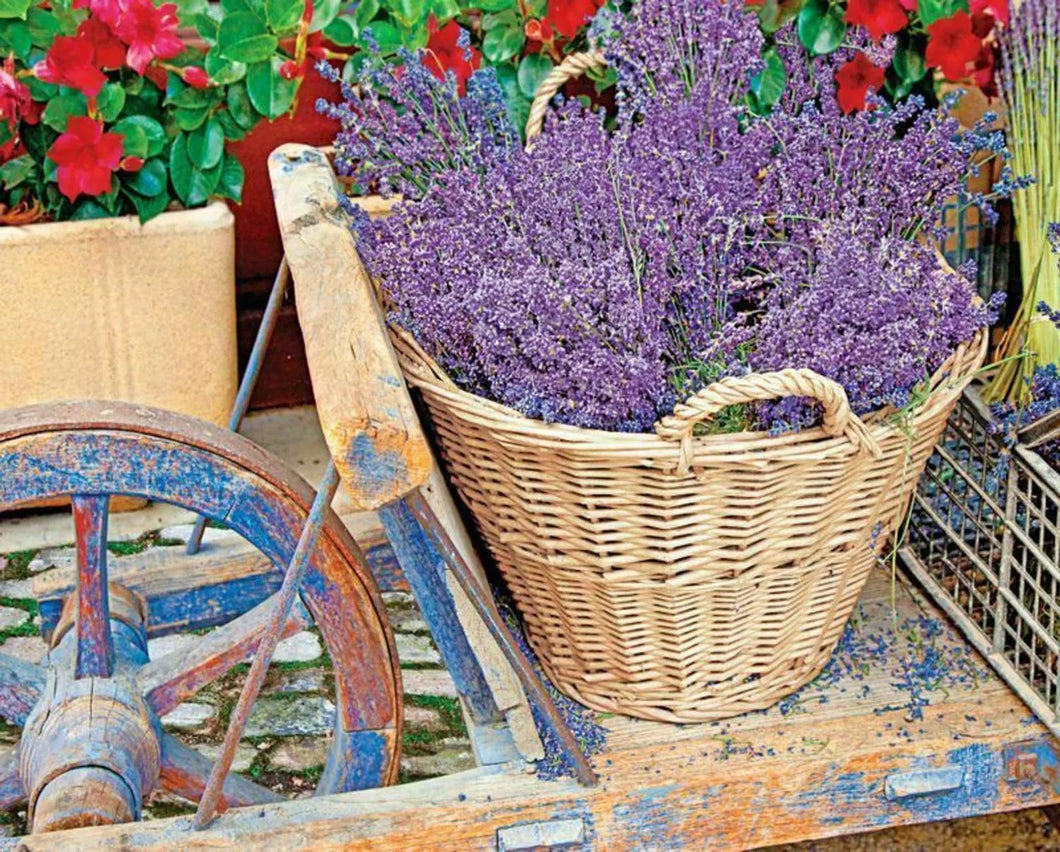 Springbok Basket of Lavender Jigsaw Puzzle, 1000-Piece