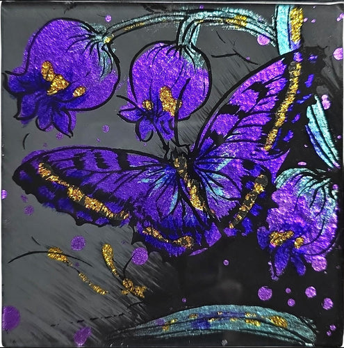 Angelstar Cozenza Collection Midnight Butterfly Coaster Set