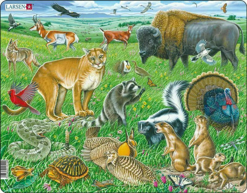 American Prairie 53 Piece Children's Educational Jigsaw Puzzle