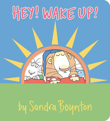 Hey Wake Up Board Book by Sandra Boynton