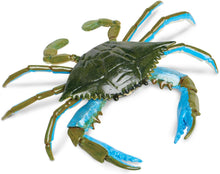Load image into Gallery viewer, Safari Blue Crab