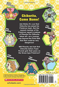 Pokemon The Chikorita Challenge Book