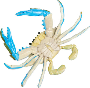 Safari Blue Crab