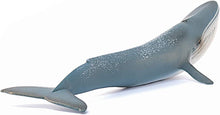 Load image into Gallery viewer, Schleich Blue Whale Toy Figure
