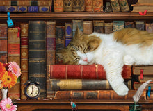 Load image into Gallery viewer, Eurographics The Cat Nap 1000pc Jigsaw Puzzle Tin
