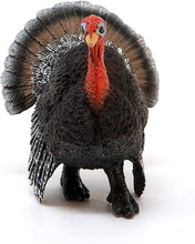 Load image into Gallery viewer, Schleich Turkey Toy Figure