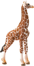 Load image into Gallery viewer, Schleich Giraffe Calf Toy Figure