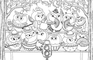 A Million Owls: Fine Feathered Friends to Color Coloring Book Vol.4