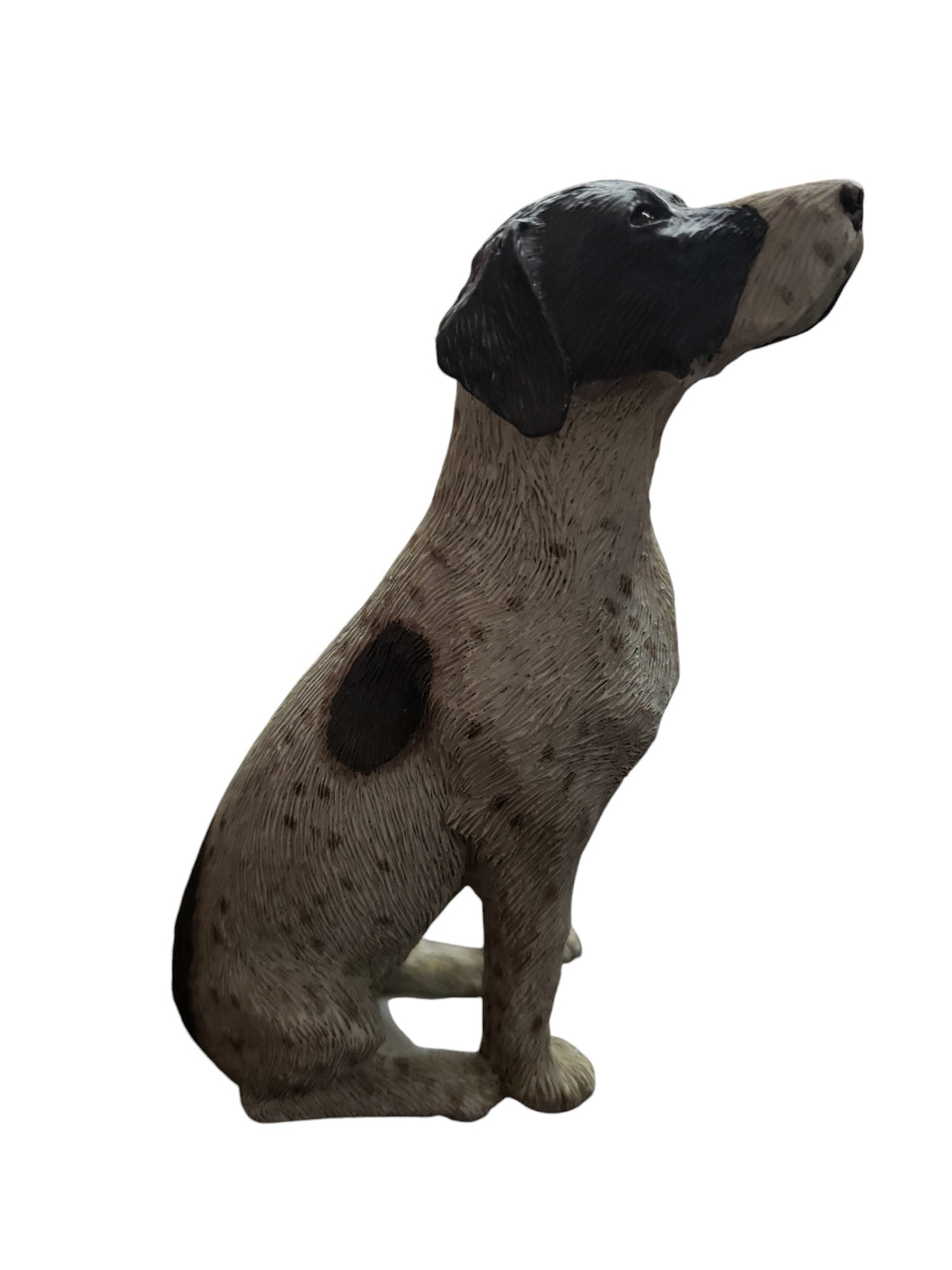 Sandicast Mid Size Statue- German Shorthair Pointer