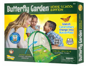 Insect Lore Butterfly Garden - Home School Edition