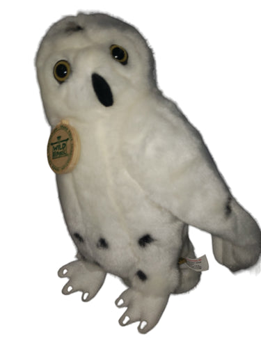 Natural Poses Snowy Owl 8