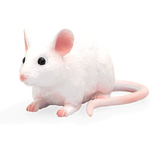 Mojo Little White Mouse