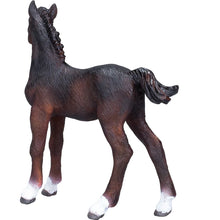 Load image into Gallery viewer, Mojo Hanoverian Foal Bay