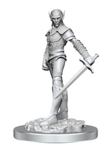 Load image into Gallery viewer, D&amp;D Nolzur&#39;s Marvelous Miniatures Unpainted: Drow Fighters