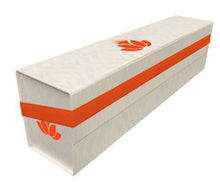 Load image into Gallery viewer, Ultra Pro Magic the Gathering Mana Flatpack 500+ Storage Box