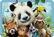 Load image into Gallery viewer, Eurographics Lenticular Placemat