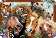 Load image into Gallery viewer, Eurographics Lenticular Placemat