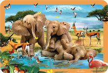 Load image into Gallery viewer, Eurographics Lenticular Placemat