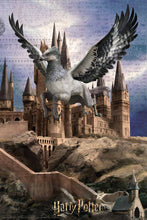 Load image into Gallery viewer, Buckbeak Harry Potter 3D Puzzle Tin Book 300pc