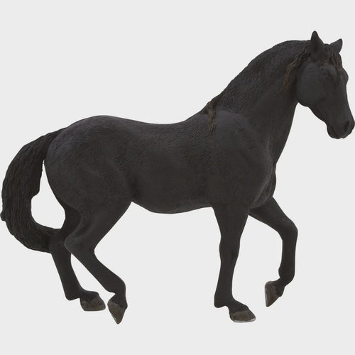 Mojo Black Andalusian Stallion #387109