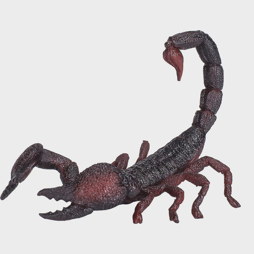 Mojo Emperor Scorpion #387133