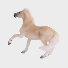 Load image into Gallery viewer, Mojo Brumby Horse Stallion