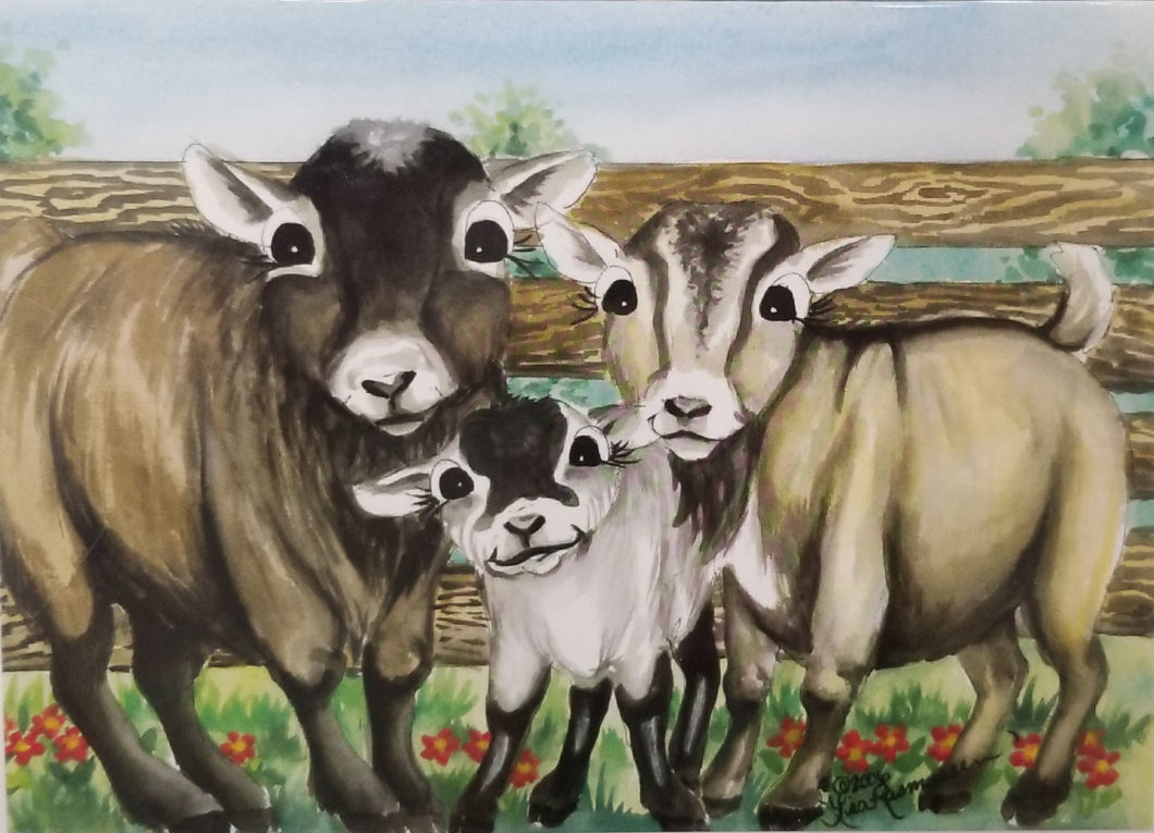 Pygmy Herd Card