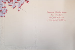 Leanin Tree Boxed Christmas Cards May Your Holiday Season-81177