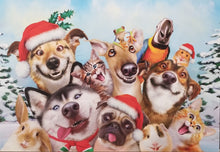 Load image into Gallery viewer, Tis the Season Boxed Christmas Cards #75461