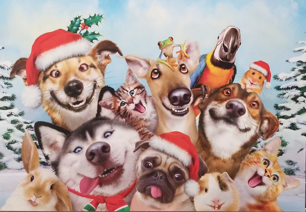 Tis the Season Boxed Christmas Cards #75461