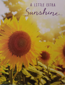 Notions Cards: Encouragement Sunshine