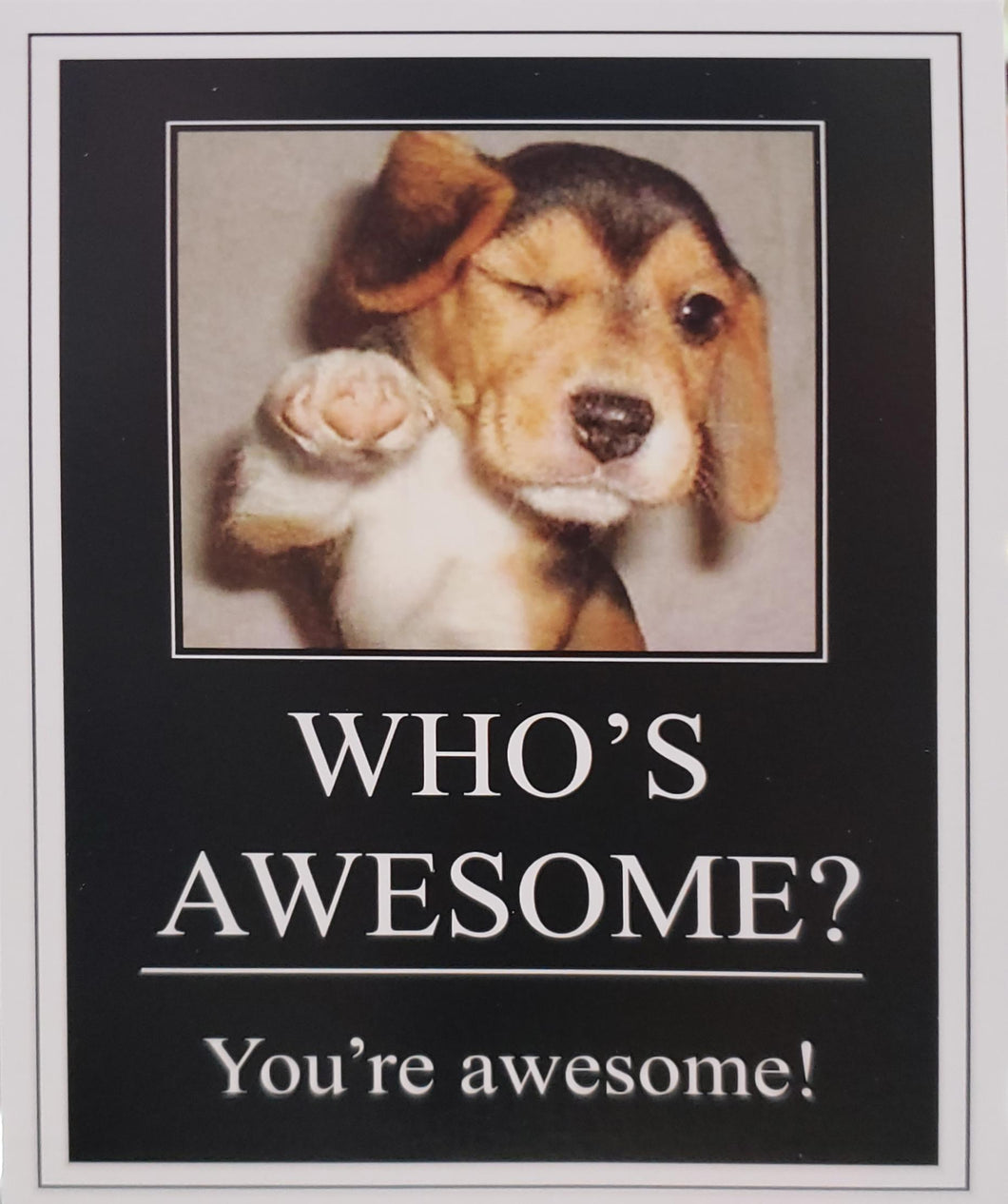 Notions: Birthday: Who's Awesome