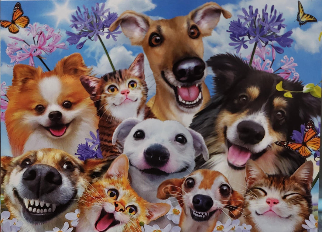 Notions: Birthday Card: Smile