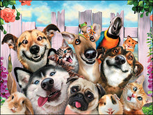 Load image into Gallery viewer, Smile It&#39;s Your Birthday Birthday Card #20635