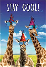 Load image into Gallery viewer, Stay Cool Giraffes Birthday Card #32170