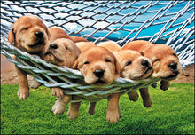 Load image into Gallery viewer, Warm and Fuzzy Wishes Birthday Card #48840