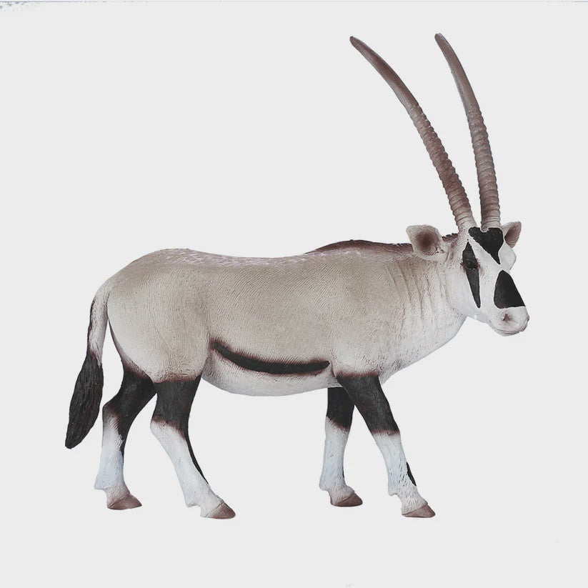 Mojo Arabian Oryx