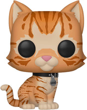 Load image into Gallery viewer, Captain Marvel Funko Pop Goose the Cat