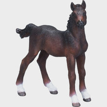 Load image into Gallery viewer, Mojo Hanoverian Foal Bay