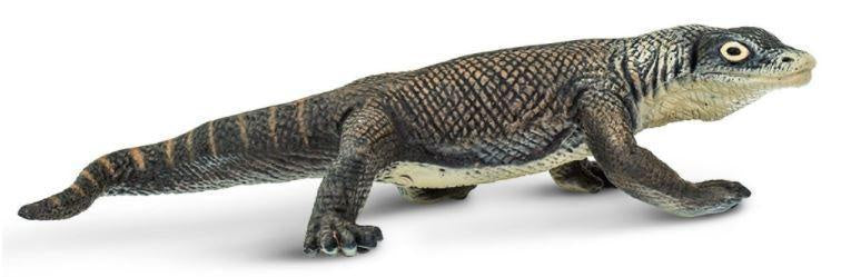 Safari Komodo Dragon