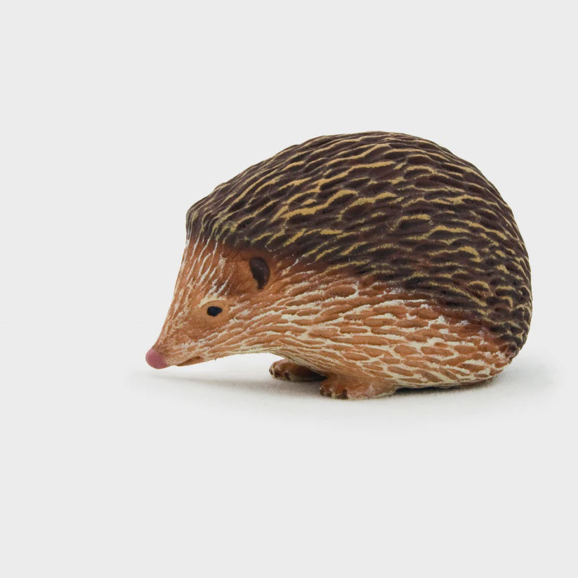 Mojo Hedgehog Figure #387035