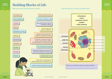 Load image into Gallery viewer, BrainQuest Workbook: Grade 6