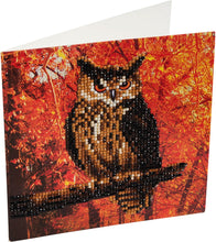 Load image into Gallery viewer, Crystal Art Card Autumn Owl