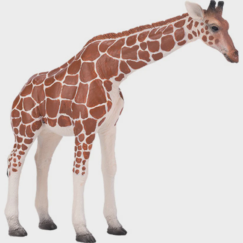 Mojo Female Giraffe